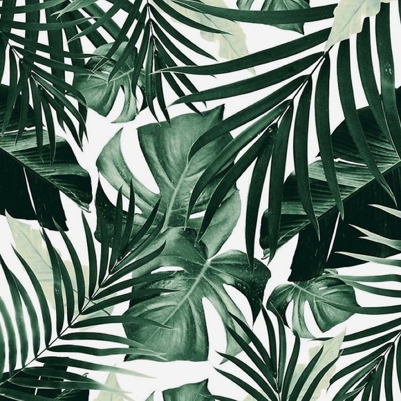 Meet your Posher, Chelsea - Picture 1 of 1